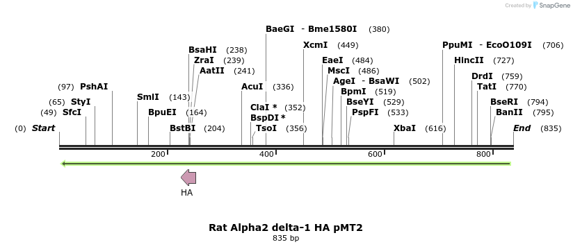95558_map
