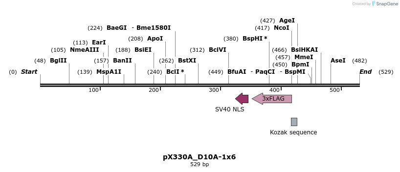 95560_map