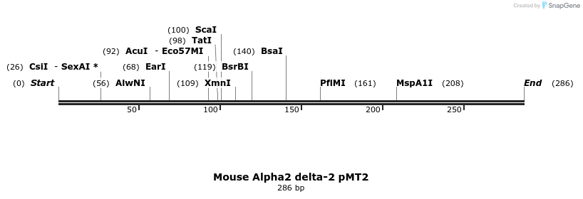95561_map