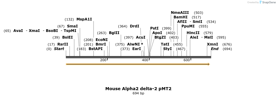 95563_map