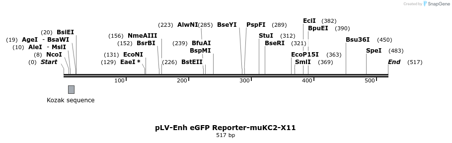 95566_map