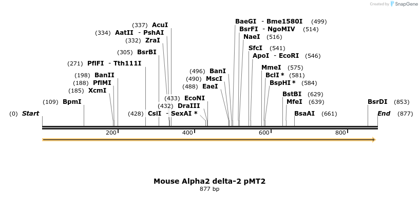95567_map