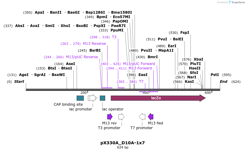 95568_map