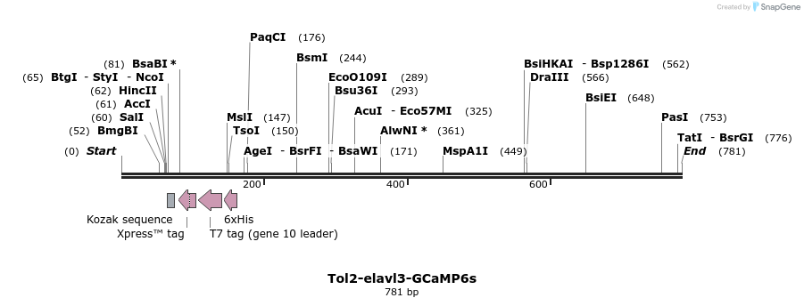 95570_map