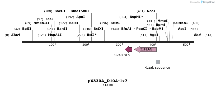 95571_map