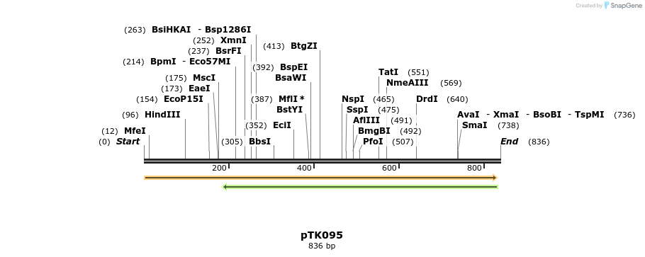 95572_map
