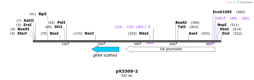 95573_map