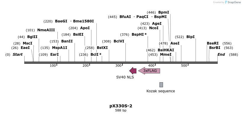 95576_map
