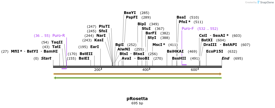 95577_map