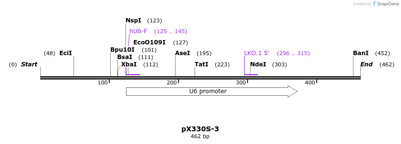 95579_map