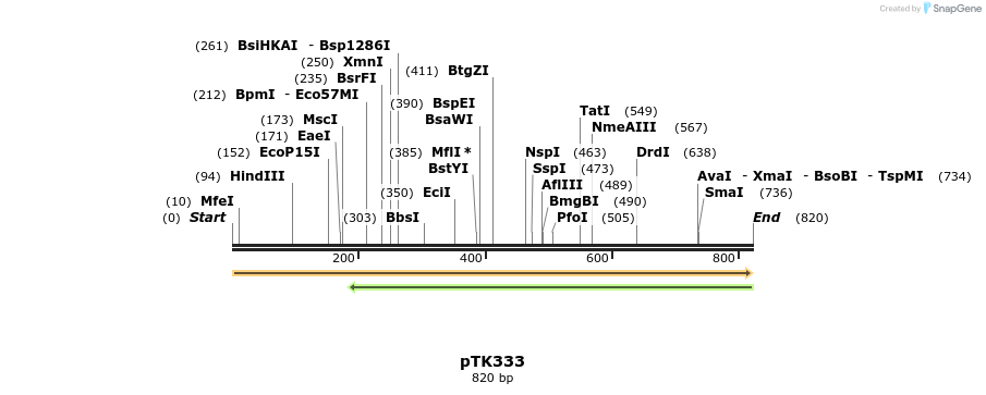 95580_map