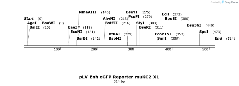95581_map
