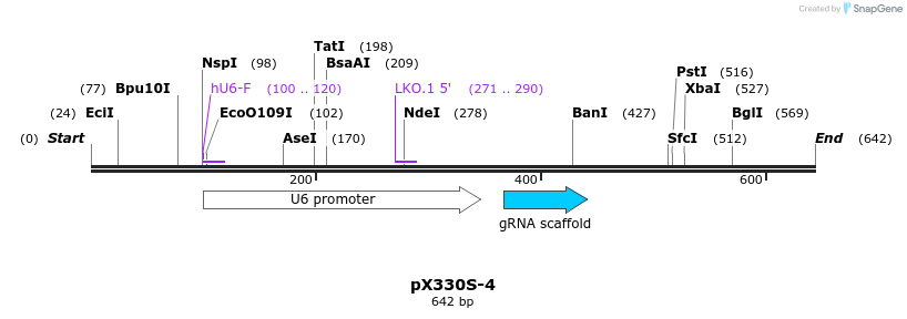 95582_map
