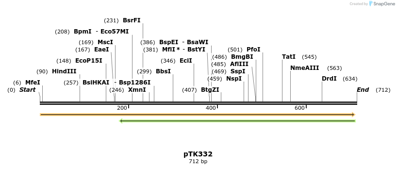 95591_map