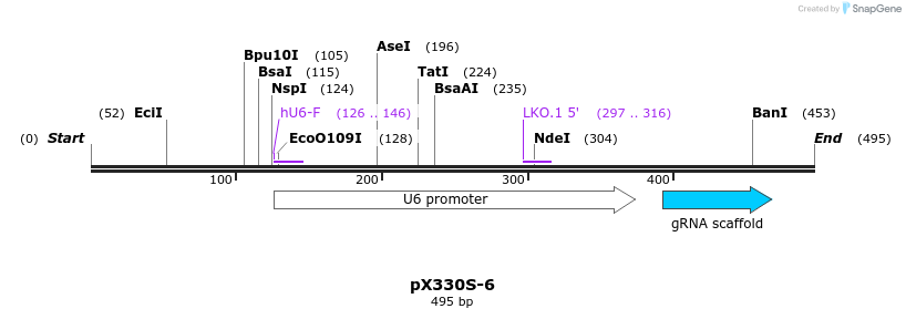 95593_map