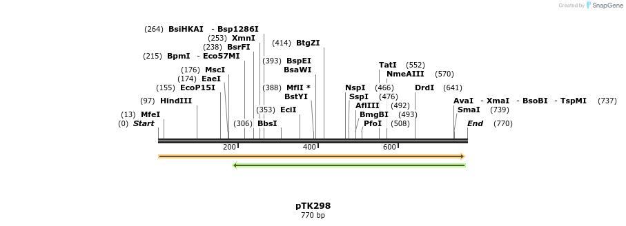95596_map
