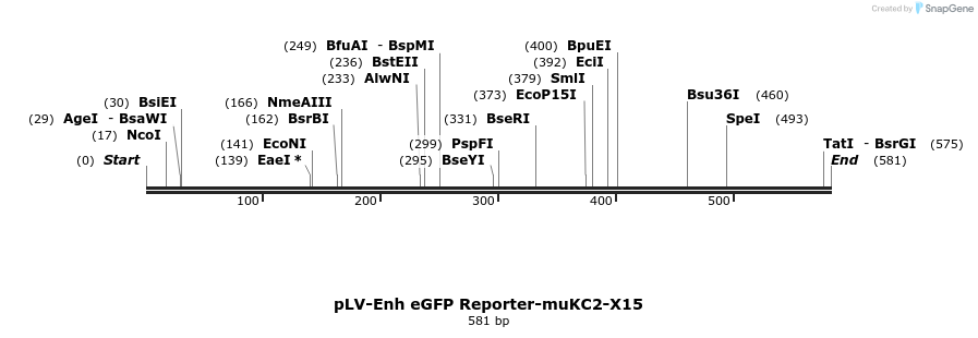 95597_map