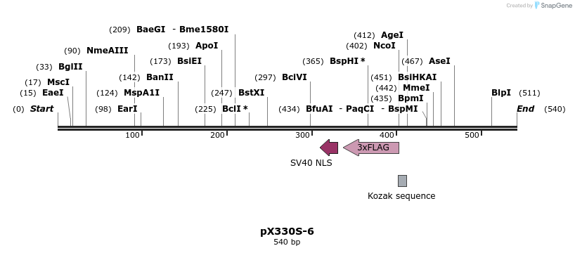 95598_map