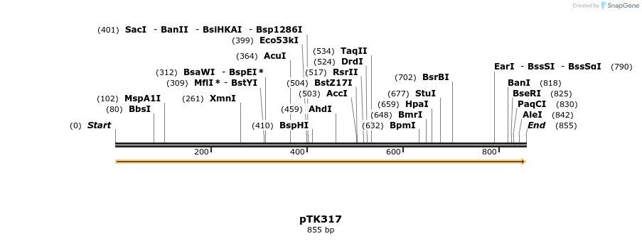 95600_map