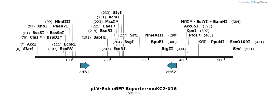 95601_map