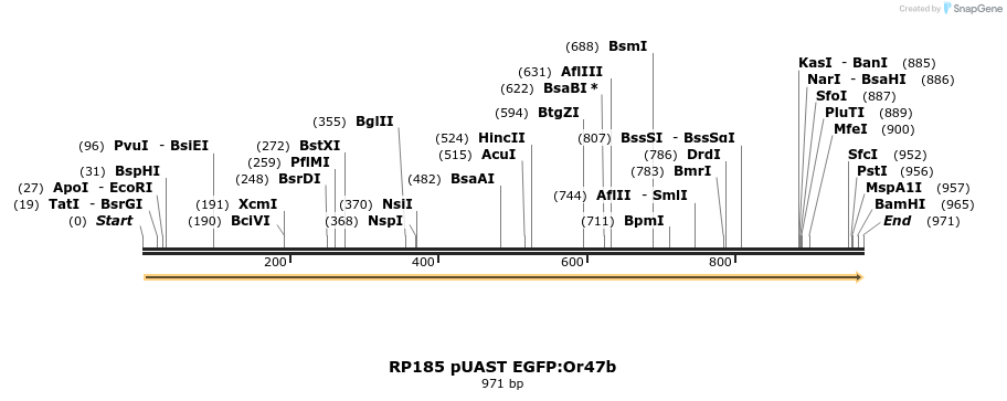 95602_map