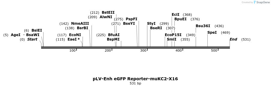 95603_map