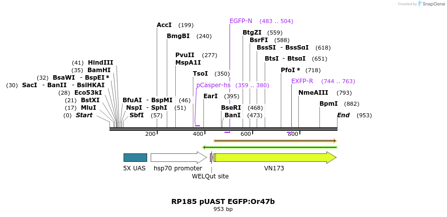 95604_map