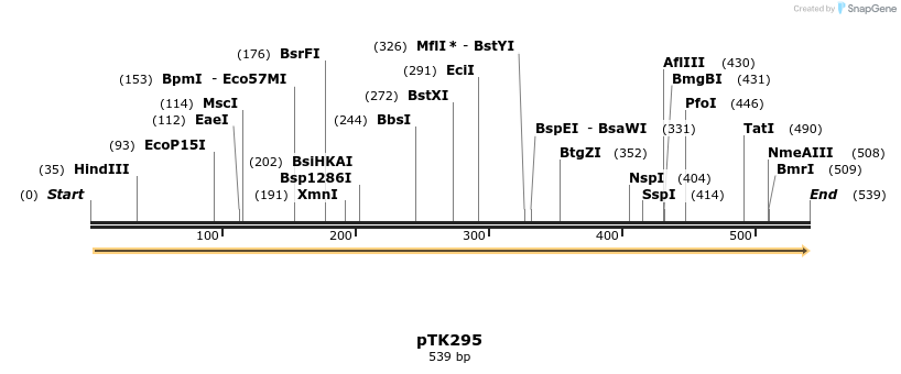 95605_map