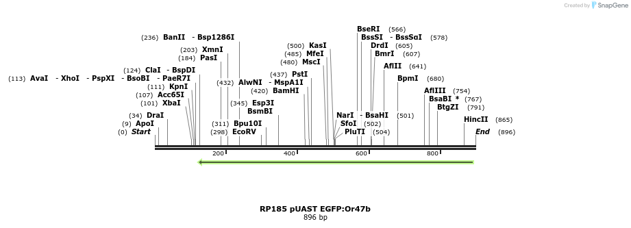 95606_map