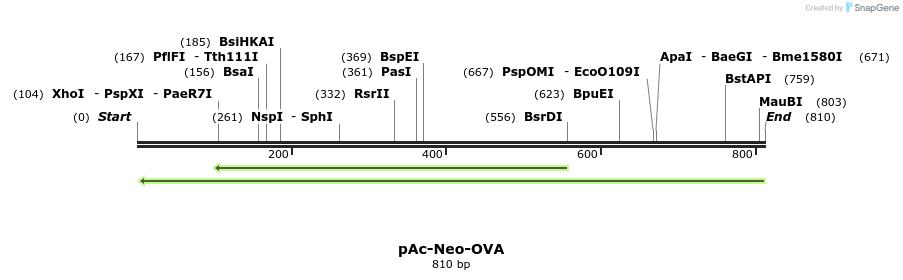 95610_map