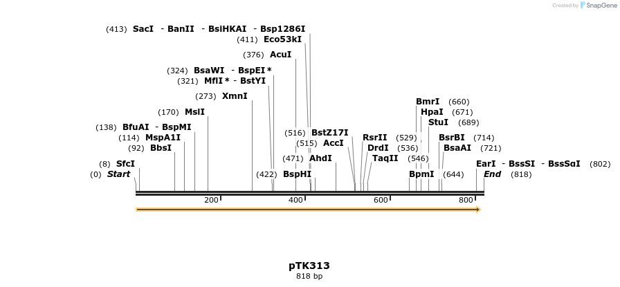 95612_map
