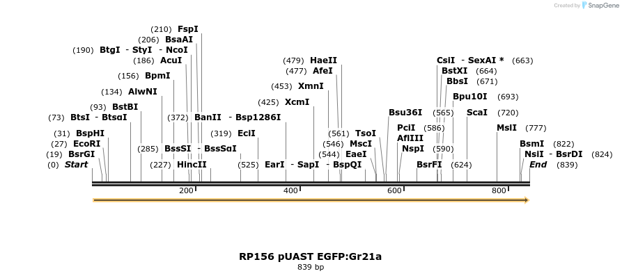 95614_map
