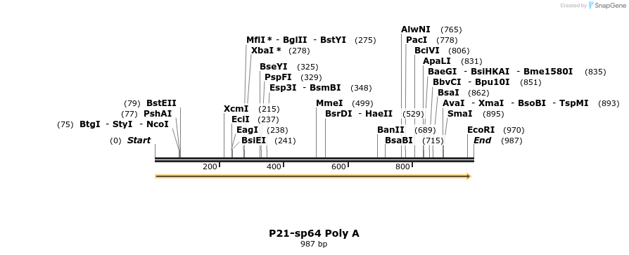 95615_map