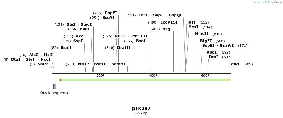 95616_map