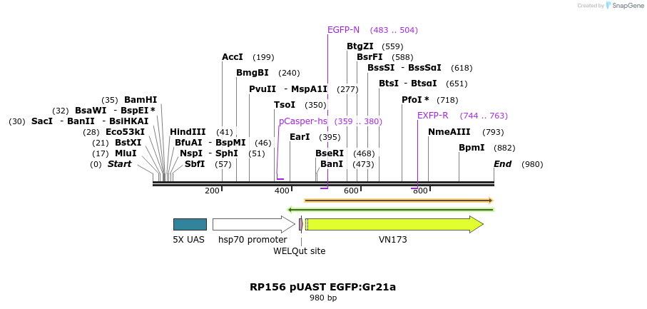 95618_map