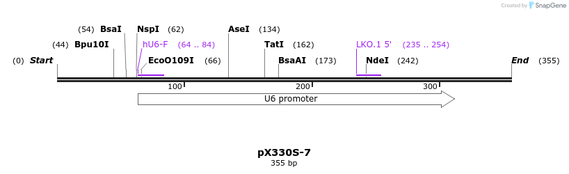 95619_map