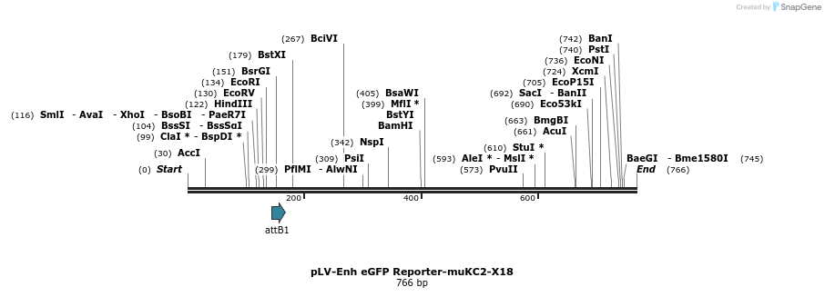 95620_map
