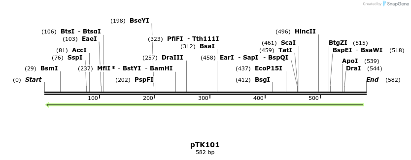 95621_map