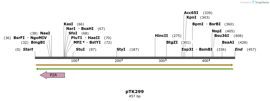 95623_map