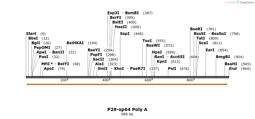 95624_map