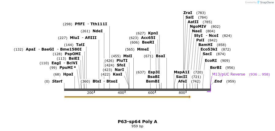95626_map