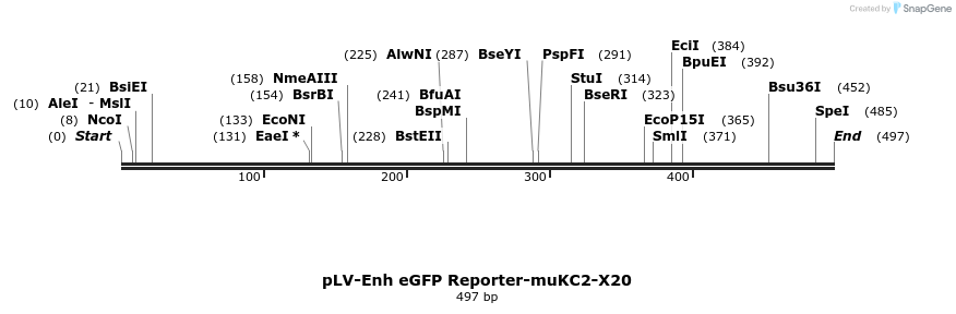 95631_map