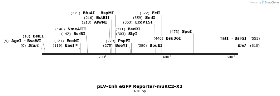 95633_map