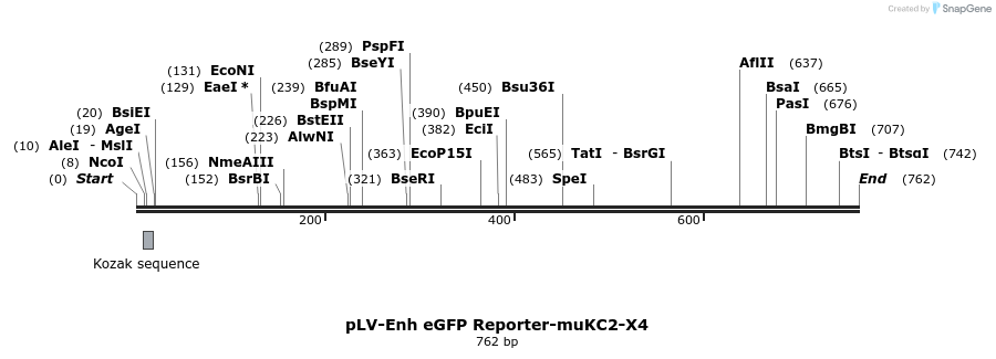 95635_map