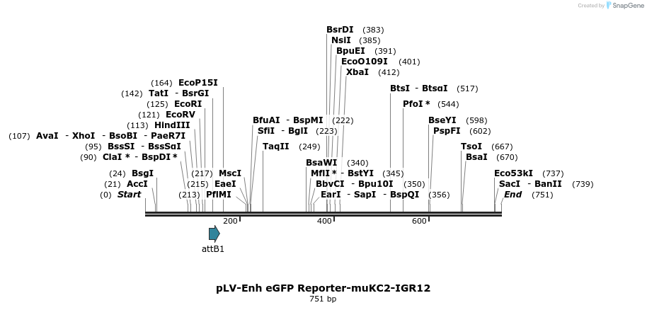 95636_map