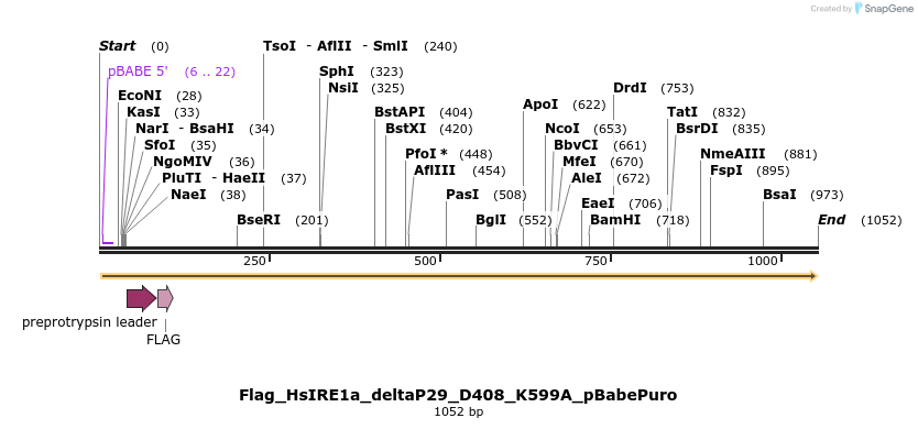 95639_map
