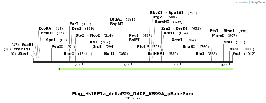 95640_map