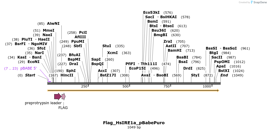 95641_map