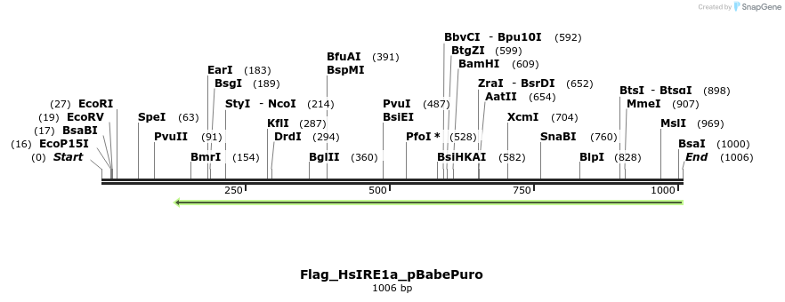 95642_map