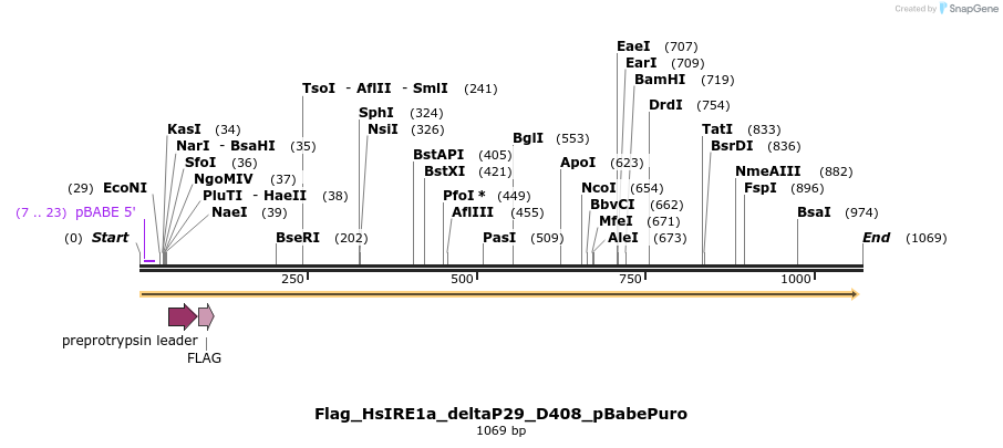 95643_map